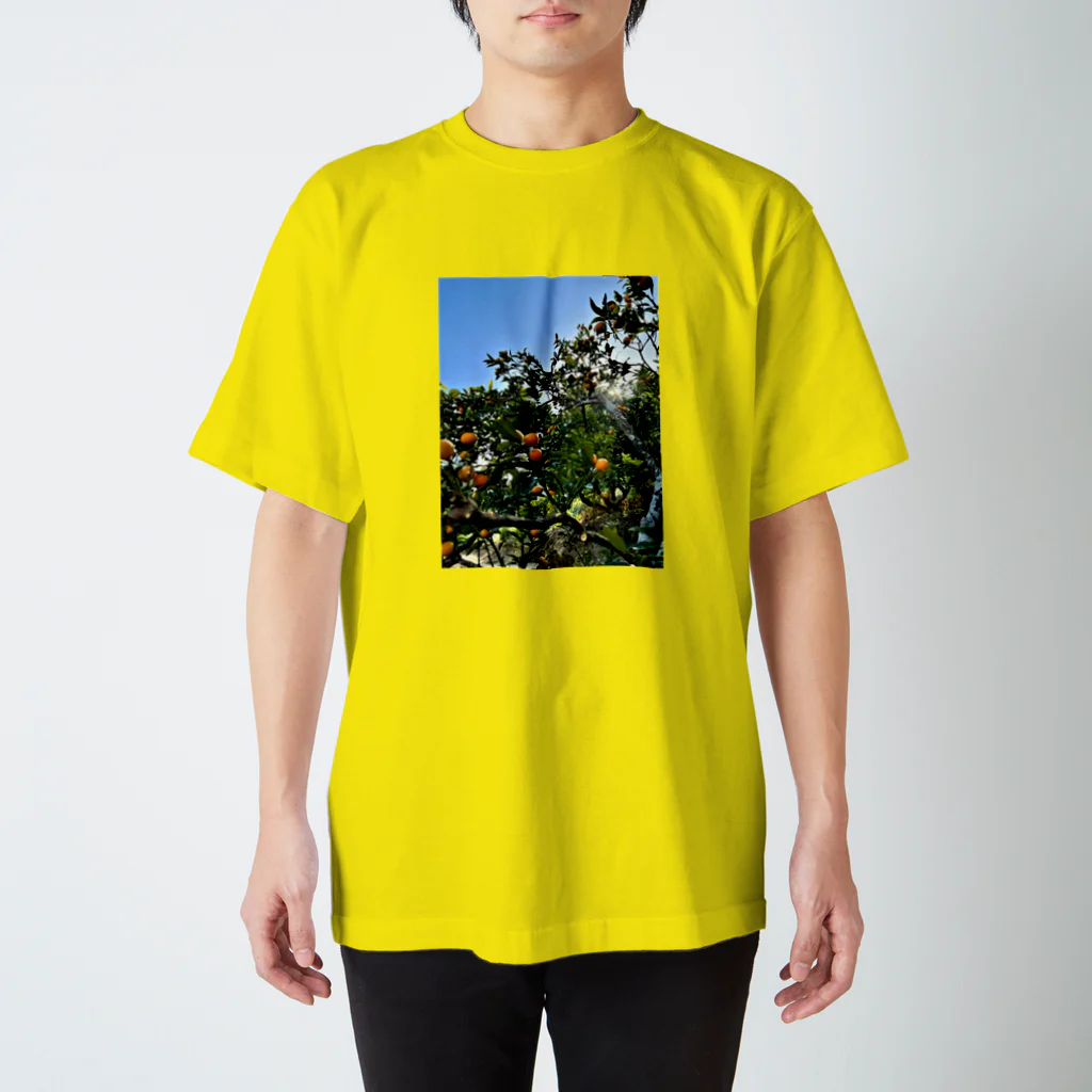 かけす堂　楽描き部門の木漏れ日と金柑 Regular Fit T-Shirt