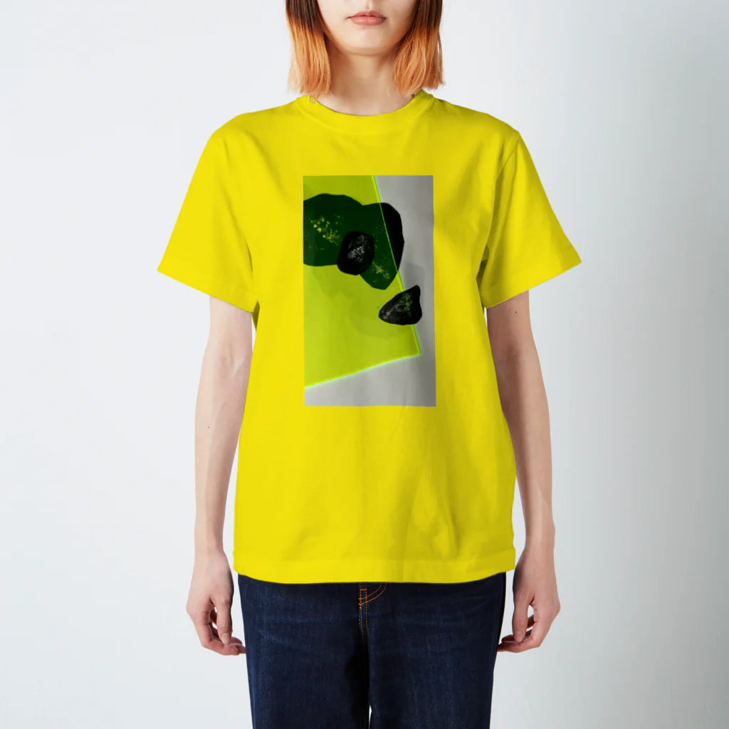 anaanaのdimension  Regular Fit T-Shirt