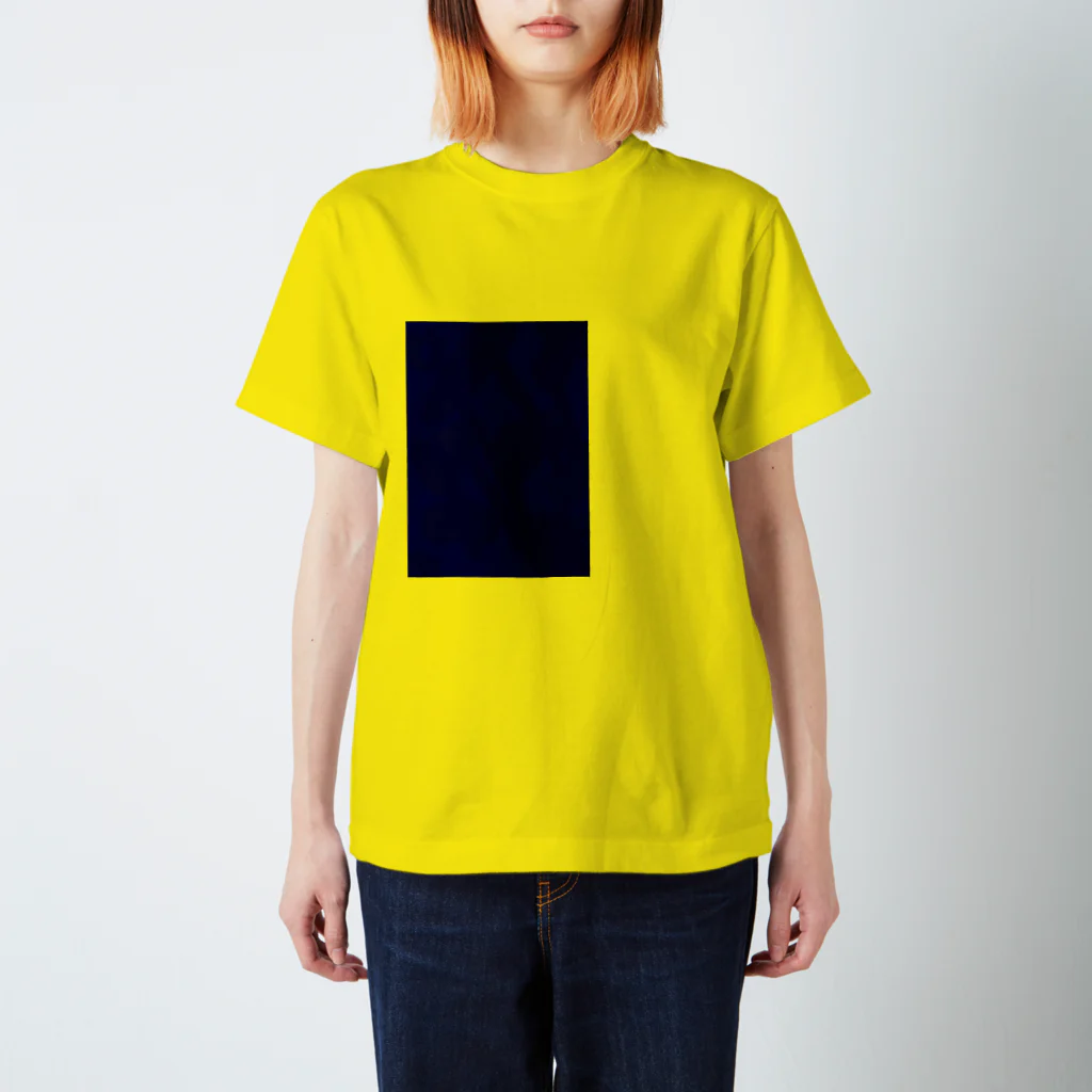 Kiotoの間・ま・真 Regular Fit T-Shirt