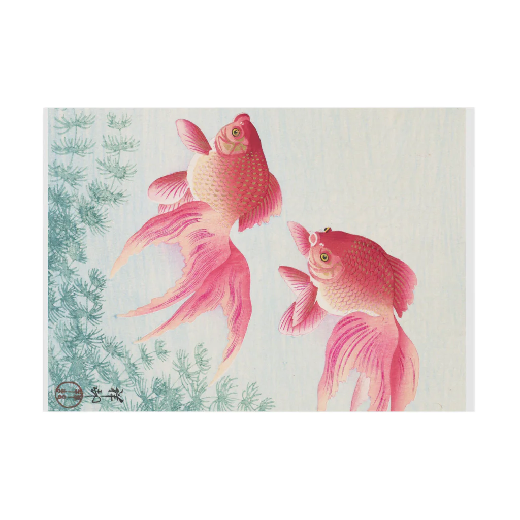 寿めでたや(ukiyoe)の日本画:小原古邨_金魚二匹 吸着ポスターの横向き