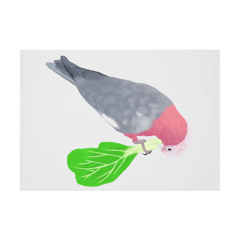 Lily bird（リリーバード）のチンゲン菜食べるモモイロインコ Stickable Poster :horizontal position