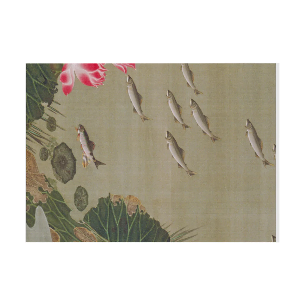 寿めでたや(ukiyoe)の日本画：伊藤若冲_蓮池遊魚図 Stickable Poster :horizontal position