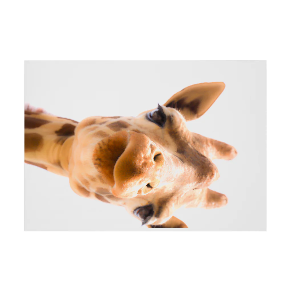 kamakiri3のGiraffe Stickable Poster :horizontal position