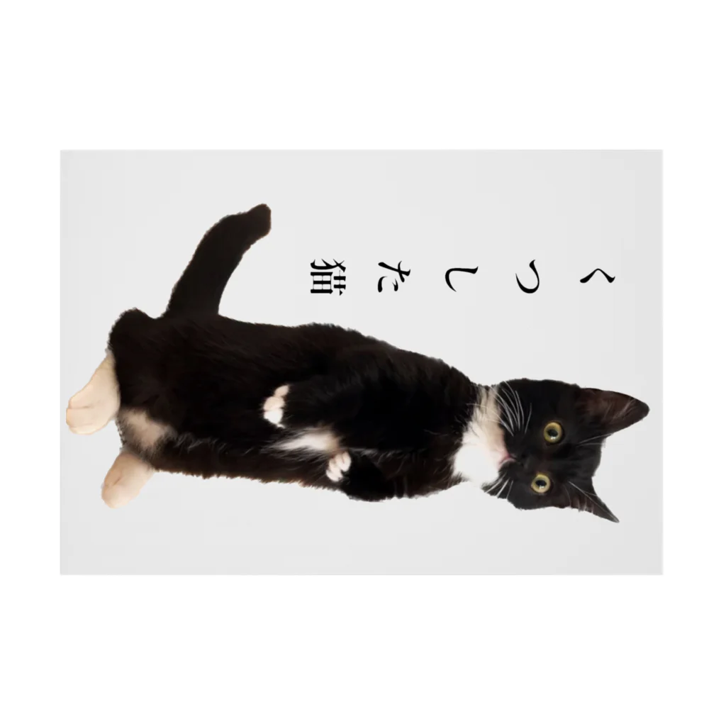 こはぜ日和  kohaze biyoriのくつした猫 Stickable Poster :horizontal position