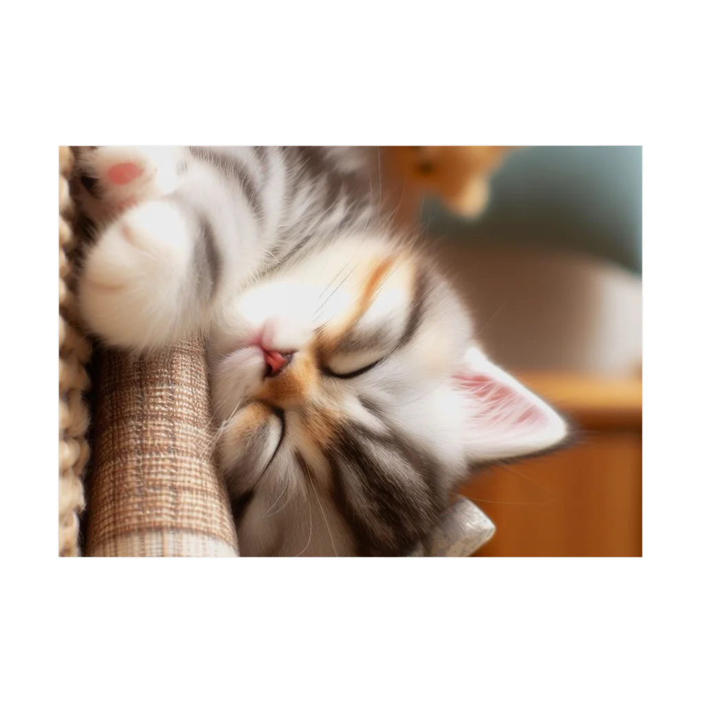 終わらない夢🌈の眠るにゃんこ😺zzz 吸着ポスターの横向き