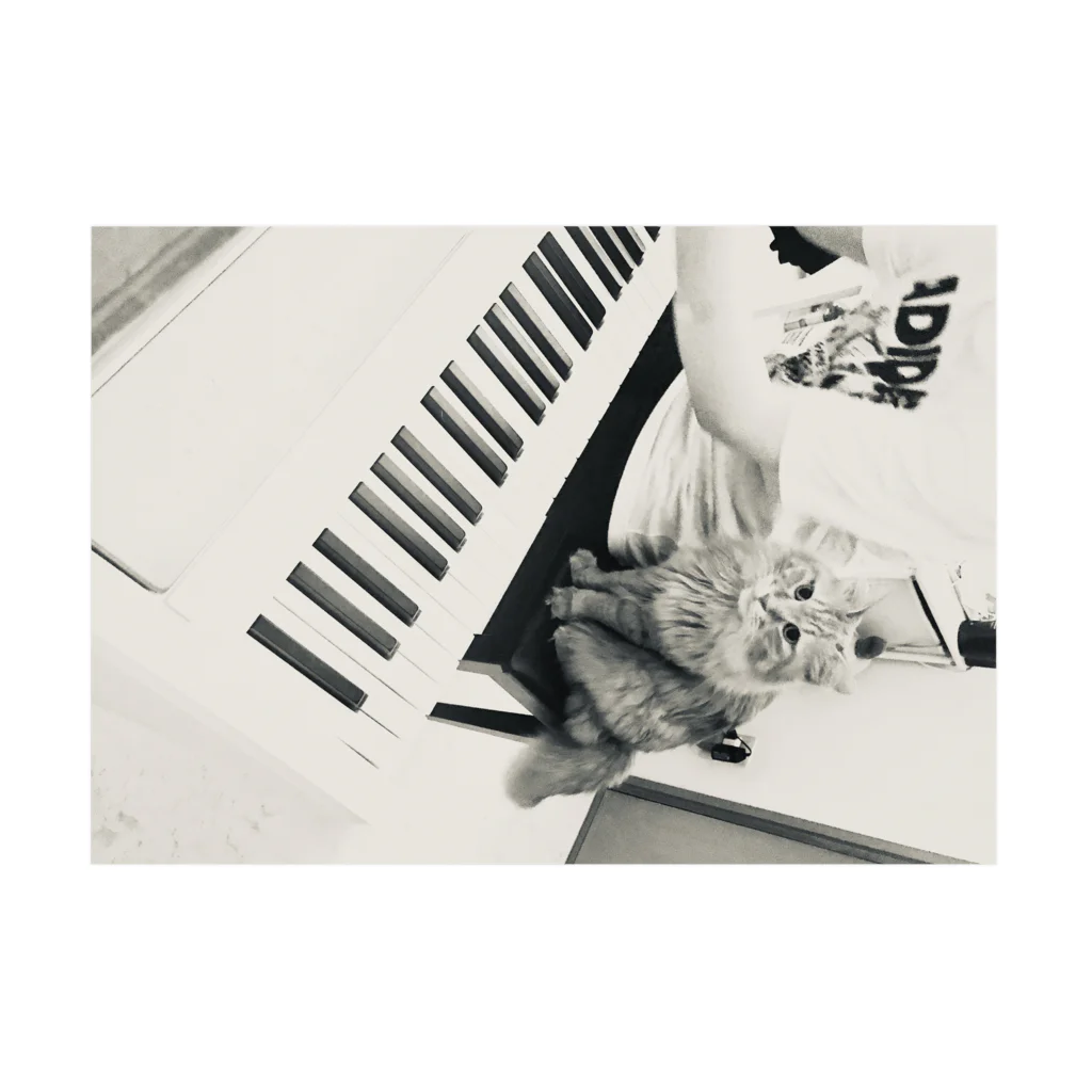 Mizuki・ASIA CATのピアノcoco 吸着ポスターの横向き