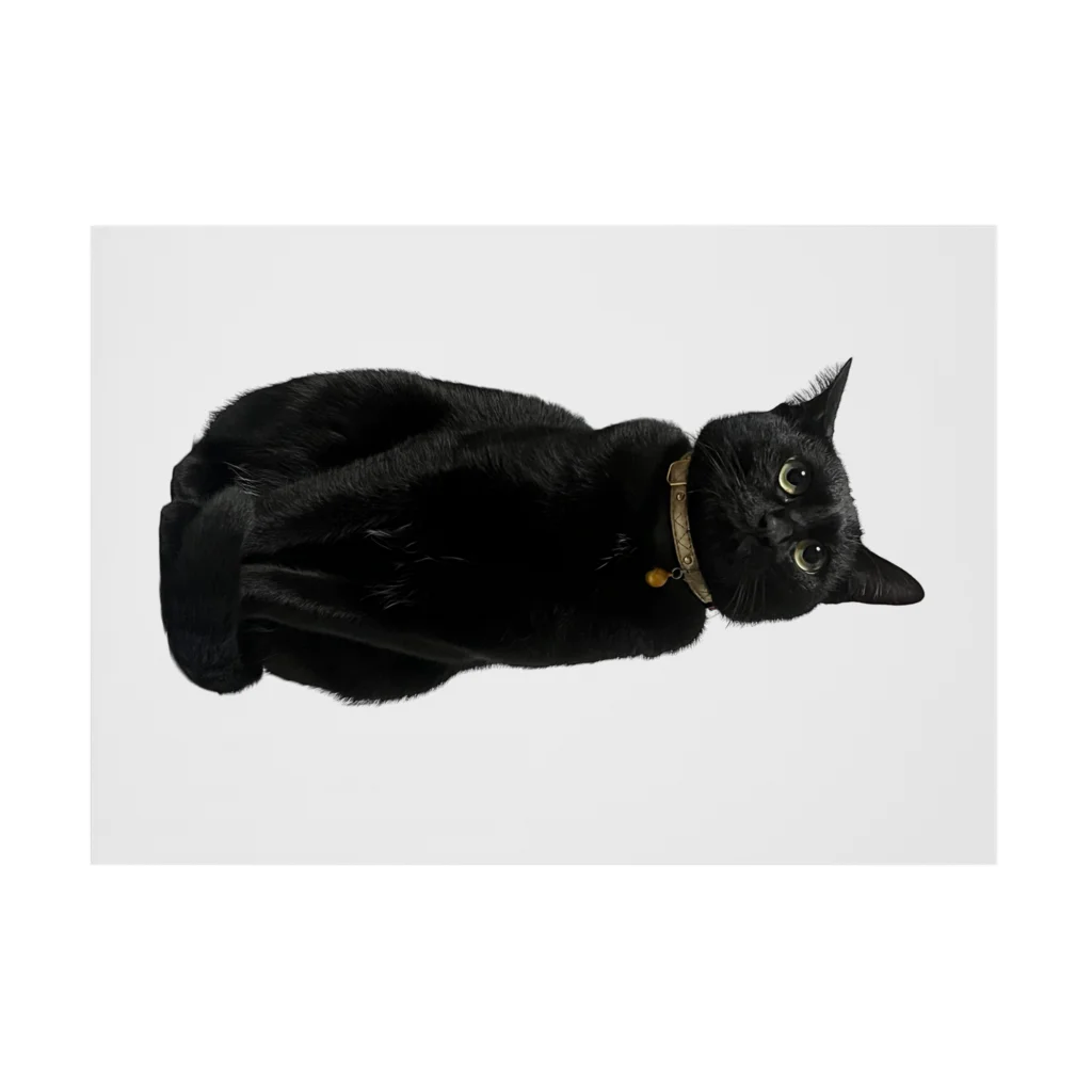 黒猫マメちゃんの魅惑ショップのリアル黒猫マメちゃんグッズ 吸着ポスターの横向き