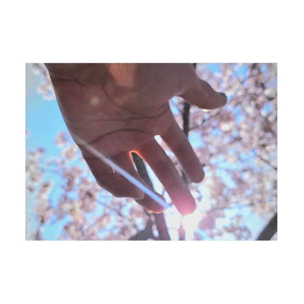 give my arm.のSAKURA Stickable Poster :horizontal position