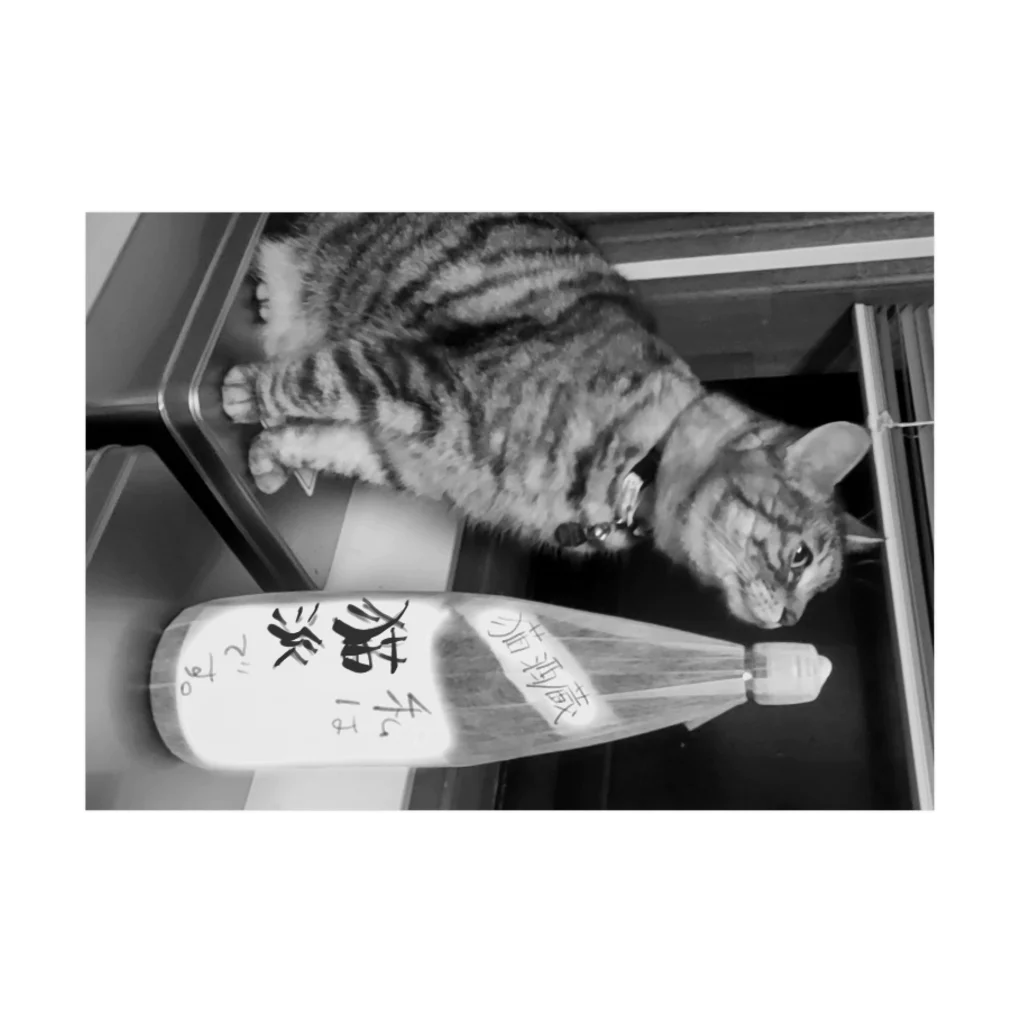 お歳暮。の猫派酒と猫派猫 Stickable Poster :horizontal position