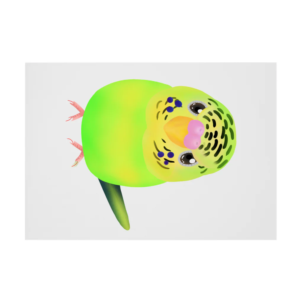 Lily bird（リリーバード）のうるうる黄緑ジャンボ① 吸着ポスターの横向き