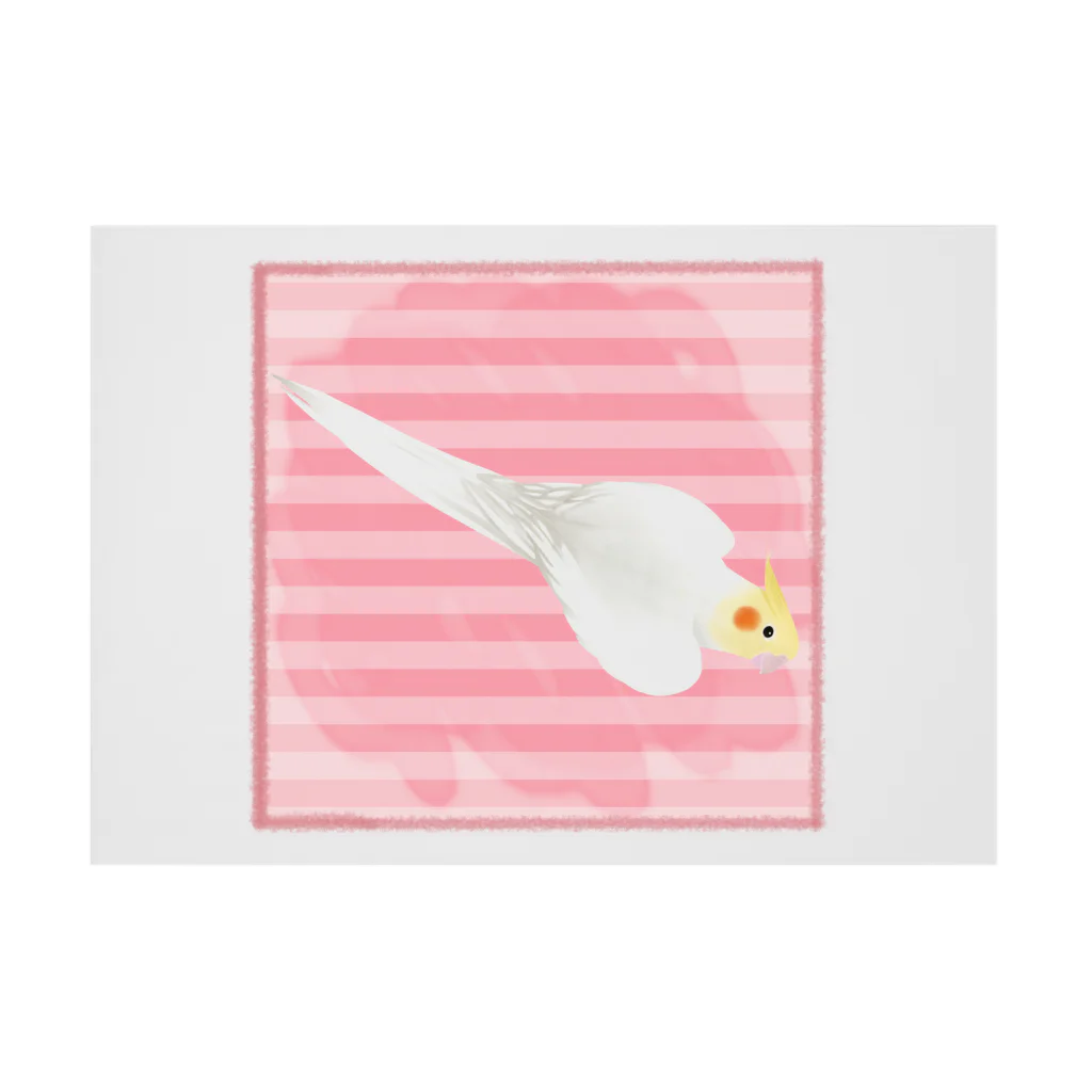 まめるりはことりのオカメインコ　ハートルチノーオカメインコ【まめるりはことり】 Stickable Poster :horizontal position