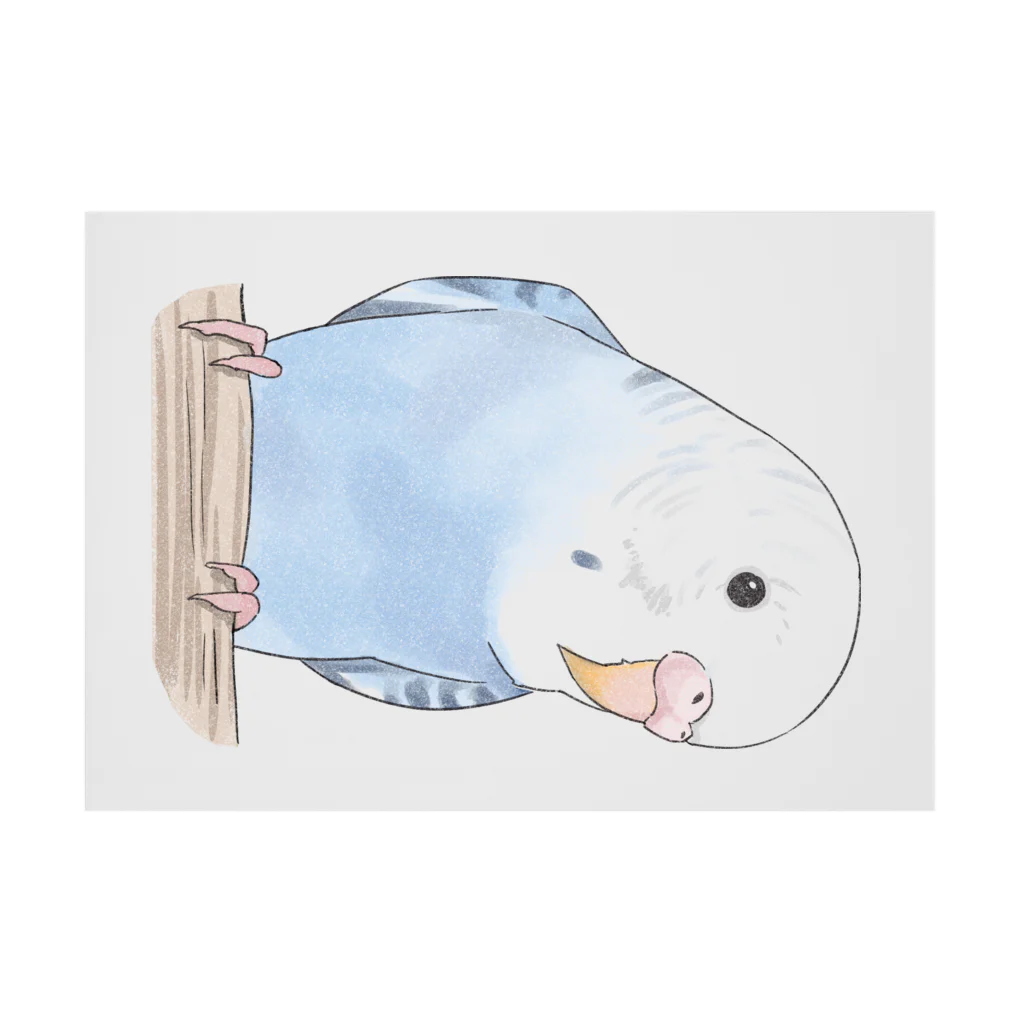 まめるりはことりのおしゃまな止まり木セキセイインコちゃん【まめるりはことり】 Stickable Poster :horizontal position