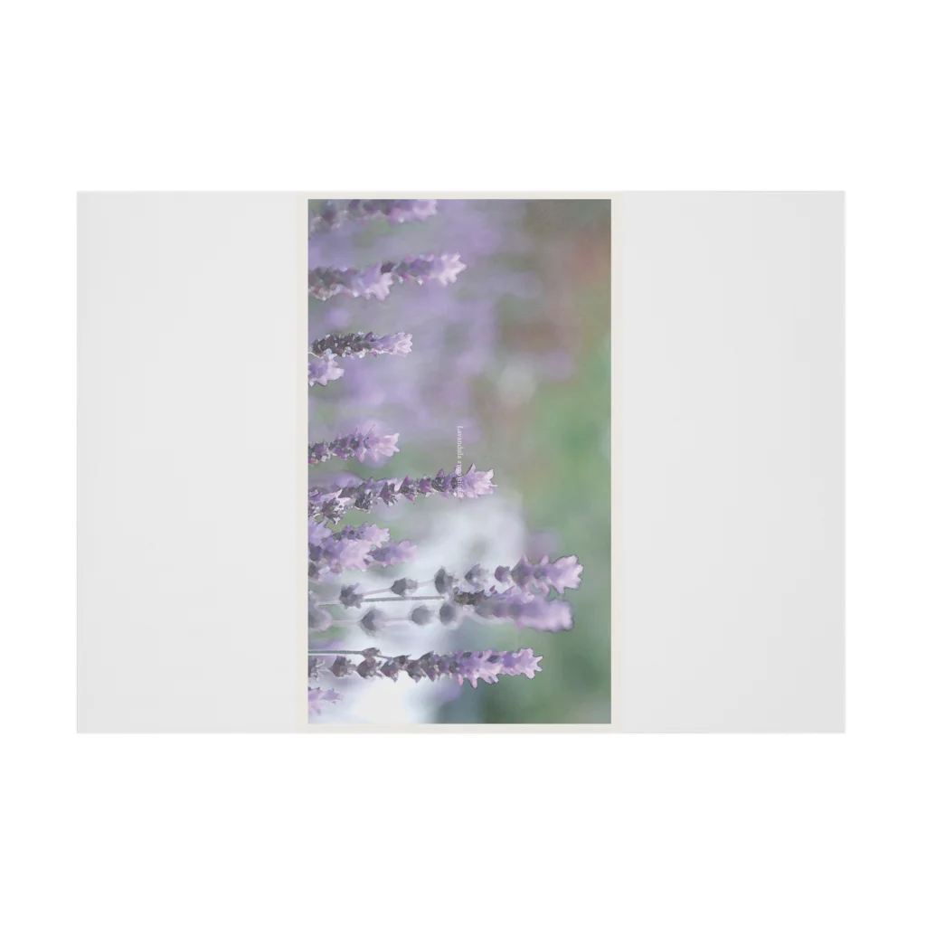 little motif のflower photo - lavender Stickable Poster :horizontal position