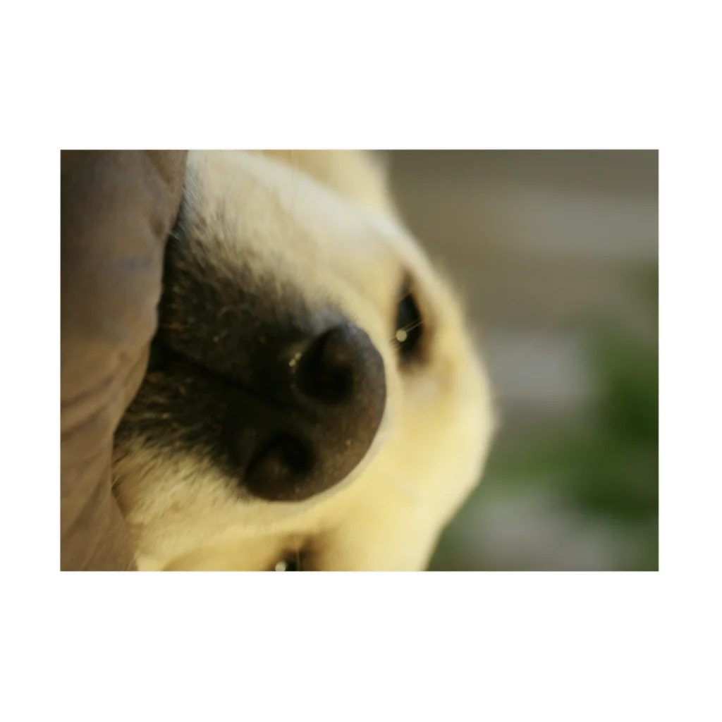 すいーとbabyのうっとりとした犬 Stickable Poster :horizontal position