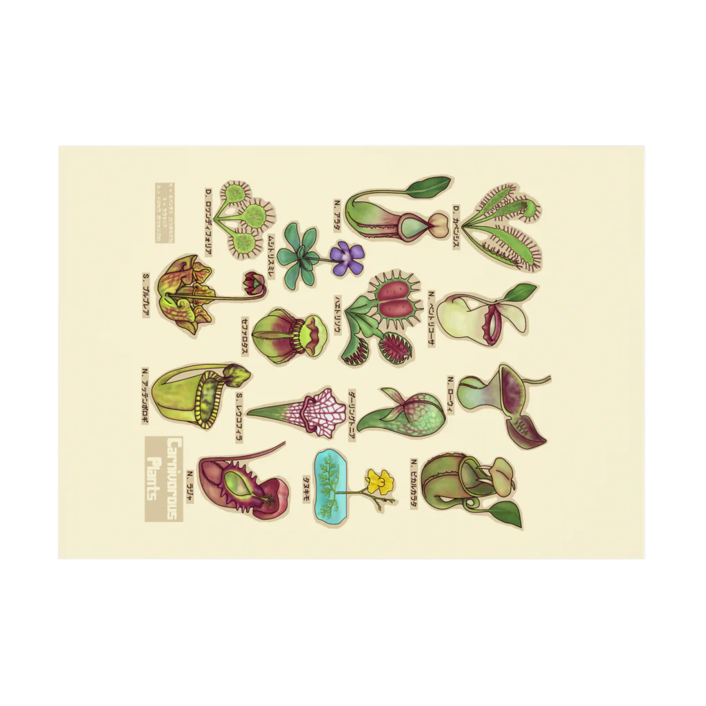 すとろべりーガムFactoryの食虫植物図鑑 (背景カラー) Stickable Poster :horizontal position