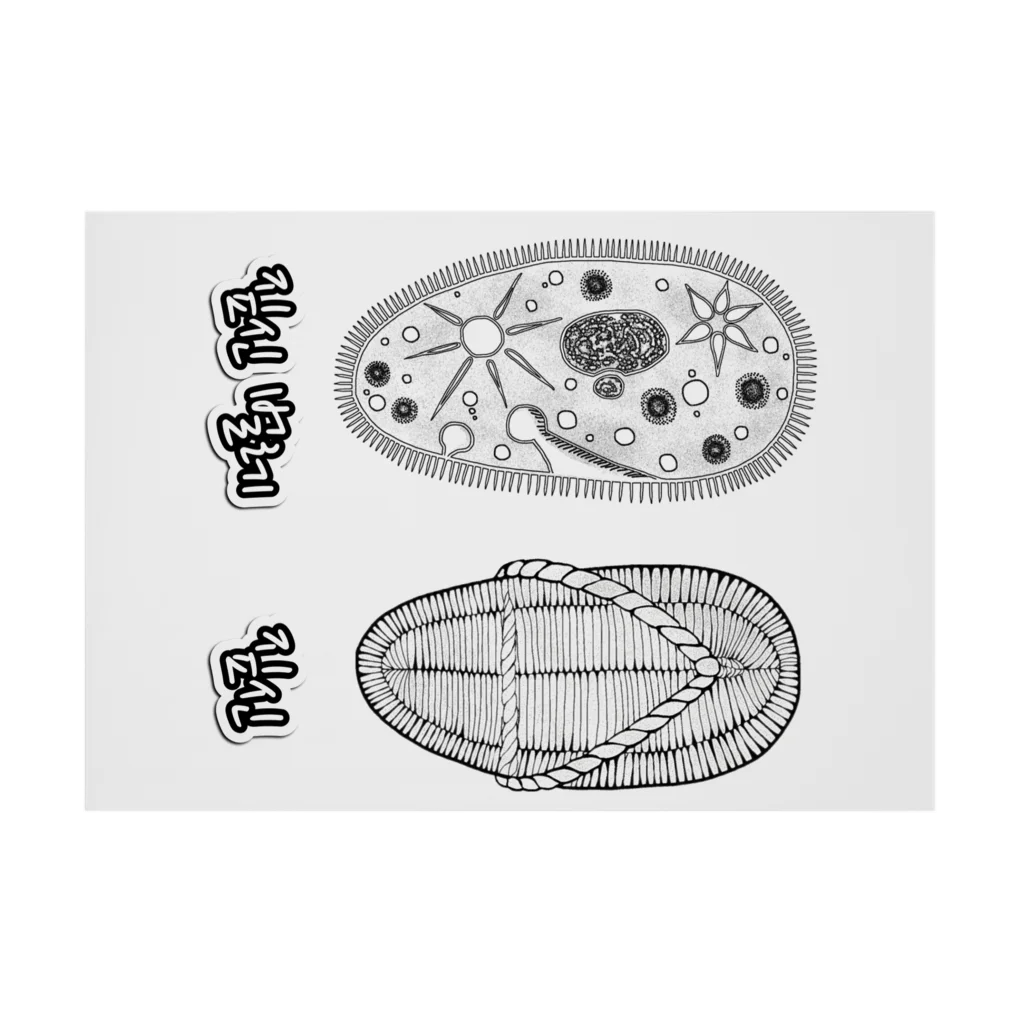 LalaHangeulのゾウリとゾウリムシ　ハングル 吸着ポスターの横向き