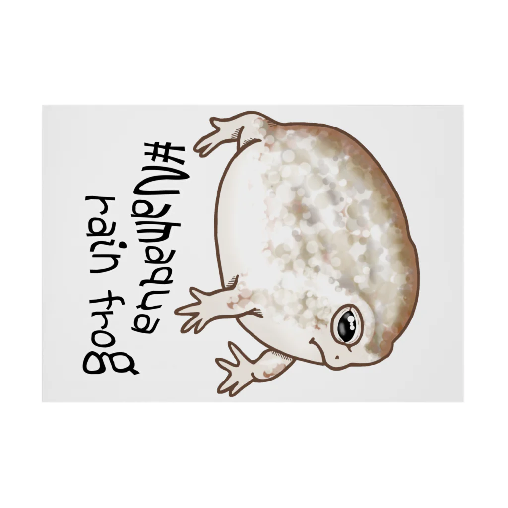 LalaHangeulのNamaqua rain frog(なまかふくらがえる) 英語バージョン 吸着ポスターの横向き