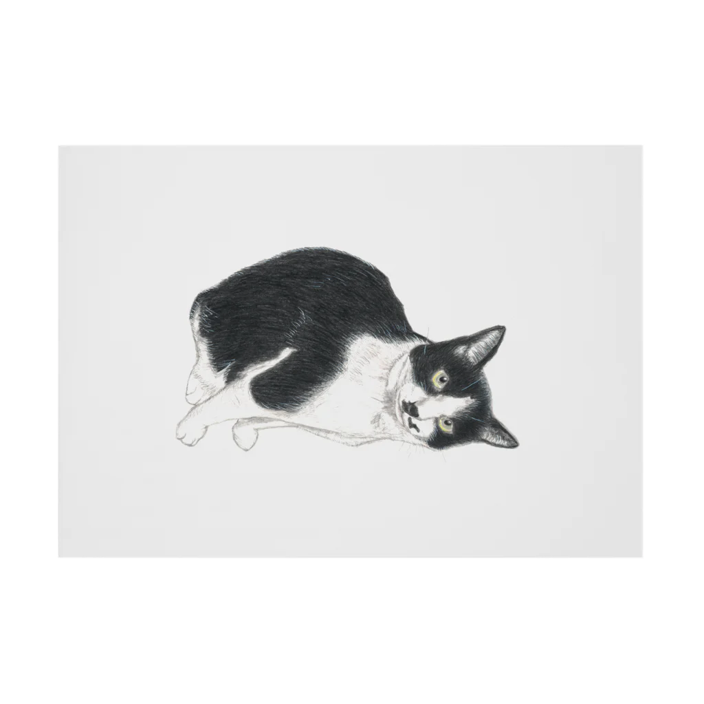 森図鑑の[森図鑑] ハチワレ猫 吸着ポスターの横向き