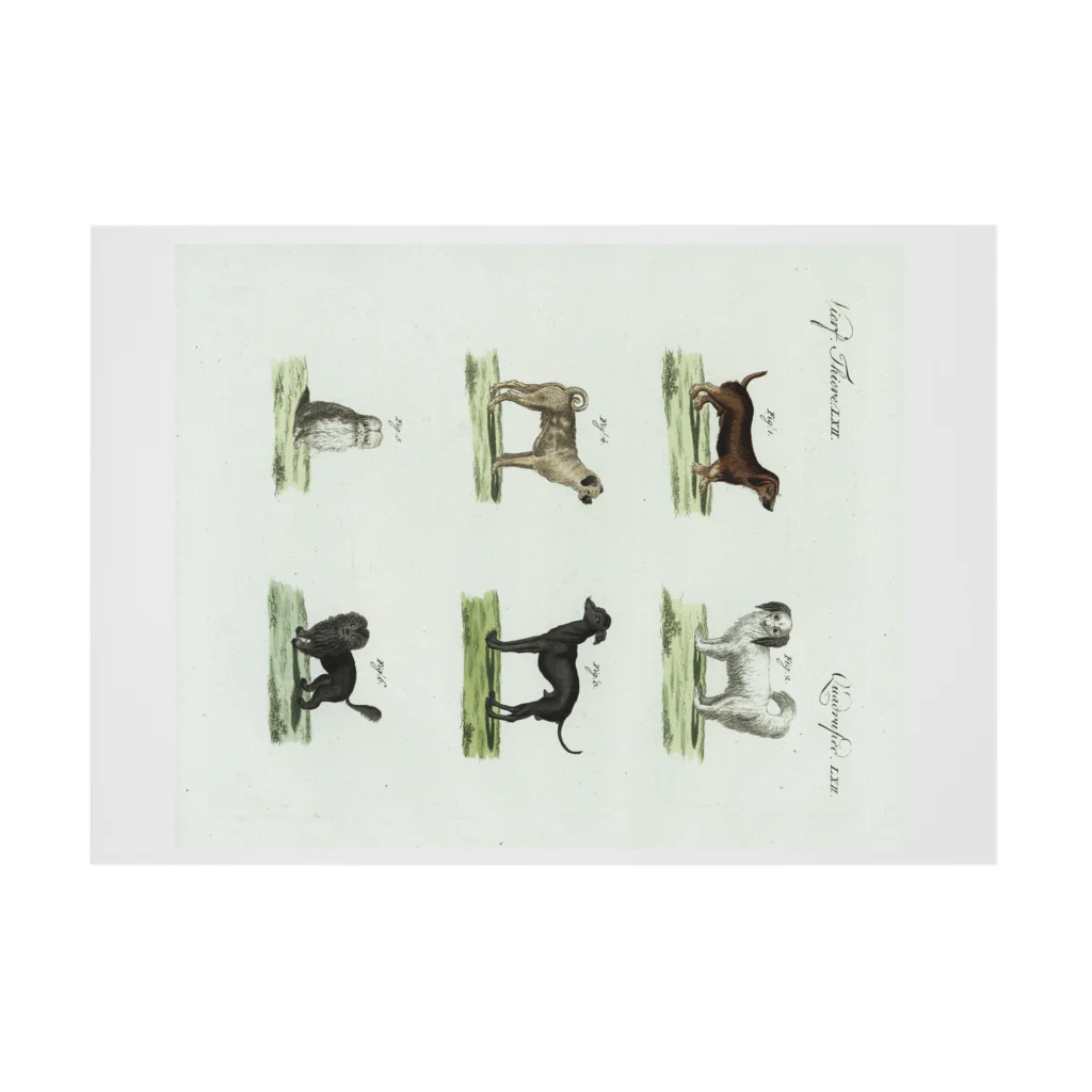 J. Jeffery Print Galleryの1802年ドイツの犬たち Stickable Poster :horizontal position