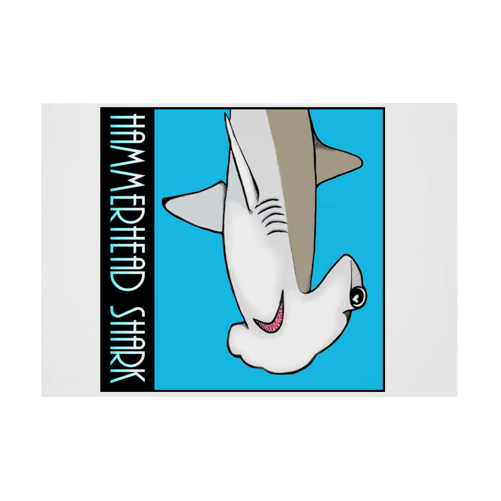 LalaHangeulのHammerhead shark(撞木鮫) 吸着ポスターの横向き