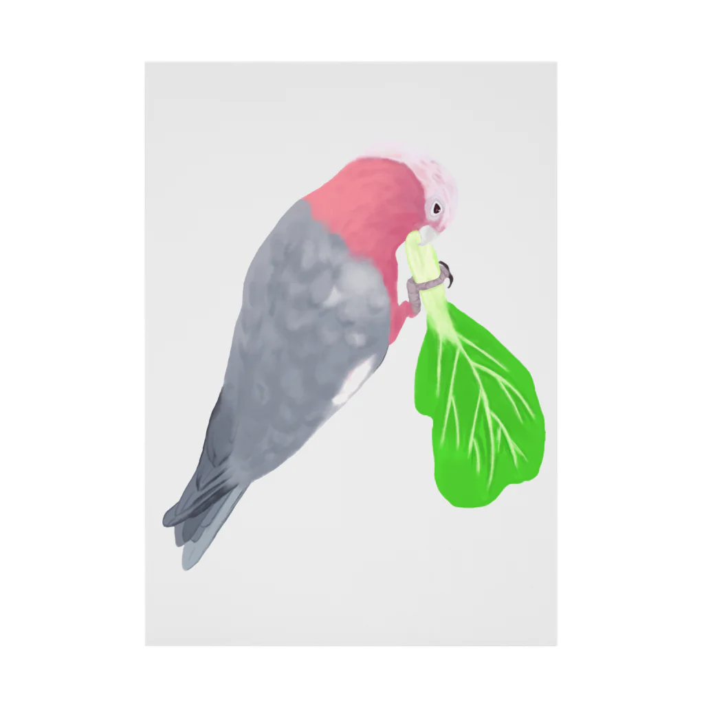 Lily bird（リリーバード）のチンゲン菜食べるモモイロインコ Stickable Poster