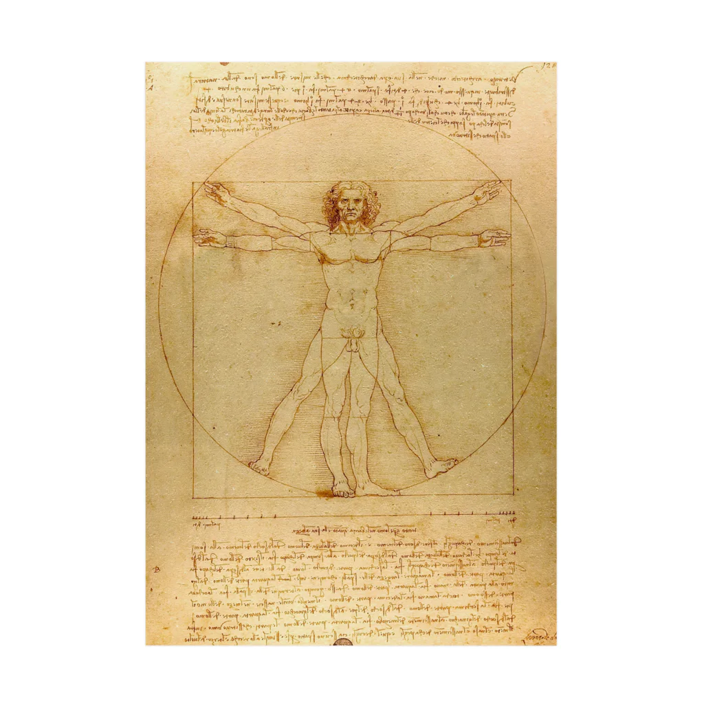 世界美術商店のウィトルウィウス的人体図 / Vitruvian Man Stickable Poster