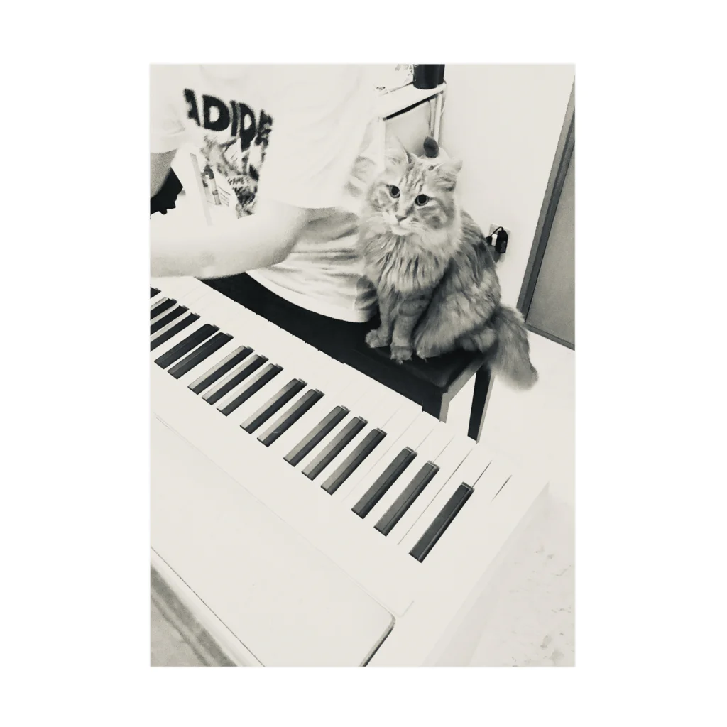 Mizuki・ASIA CATのピアノcoco 吸着ポスター