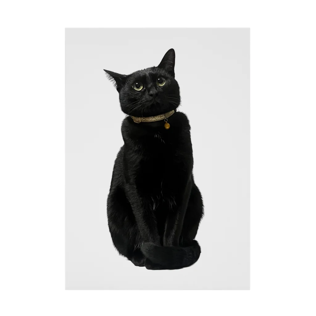 黒猫マメちゃんの魅惑ショップのリアル黒猫マメちゃんグッズ 吸着ポスター