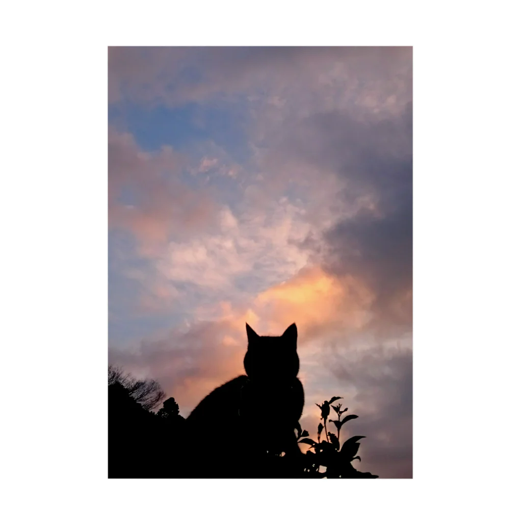 ball tree. ykのsunset cat Stickable Poster