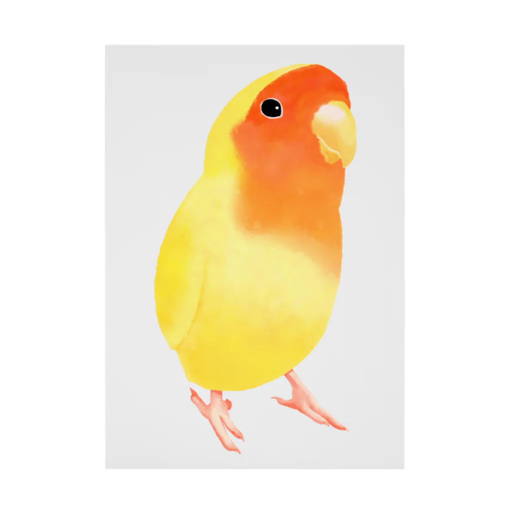 まめるりはことりのコザクラインコ　おすましルチノー【まめるりはことり】 Stickable Poster