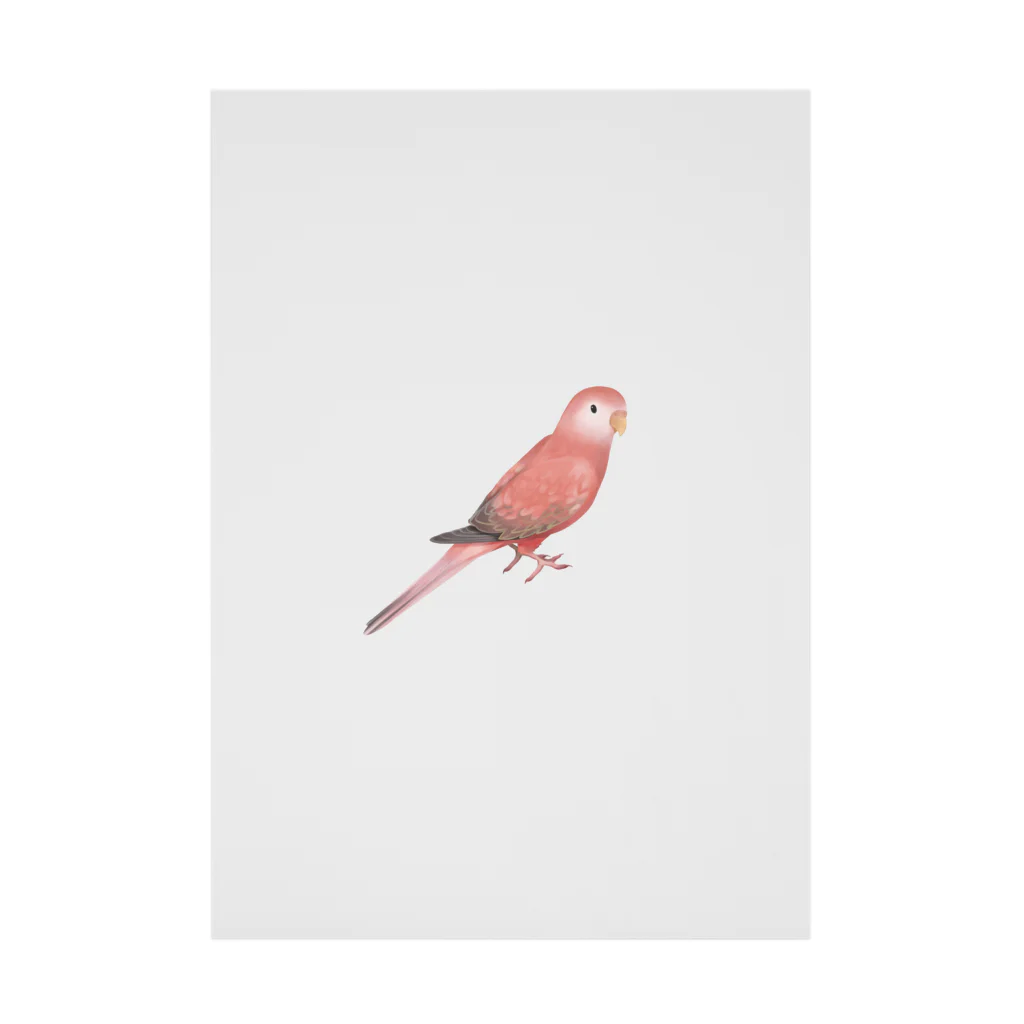 まめるりはことりのアキクサインコ　ピンク【まめるりはことり】 Stickable Poster