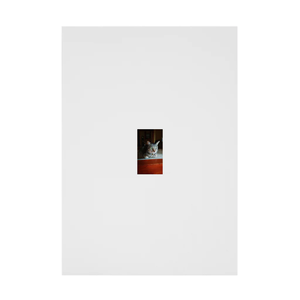 キジトラ猫ミミのキジトラ猫ミミさん Stickable Poster