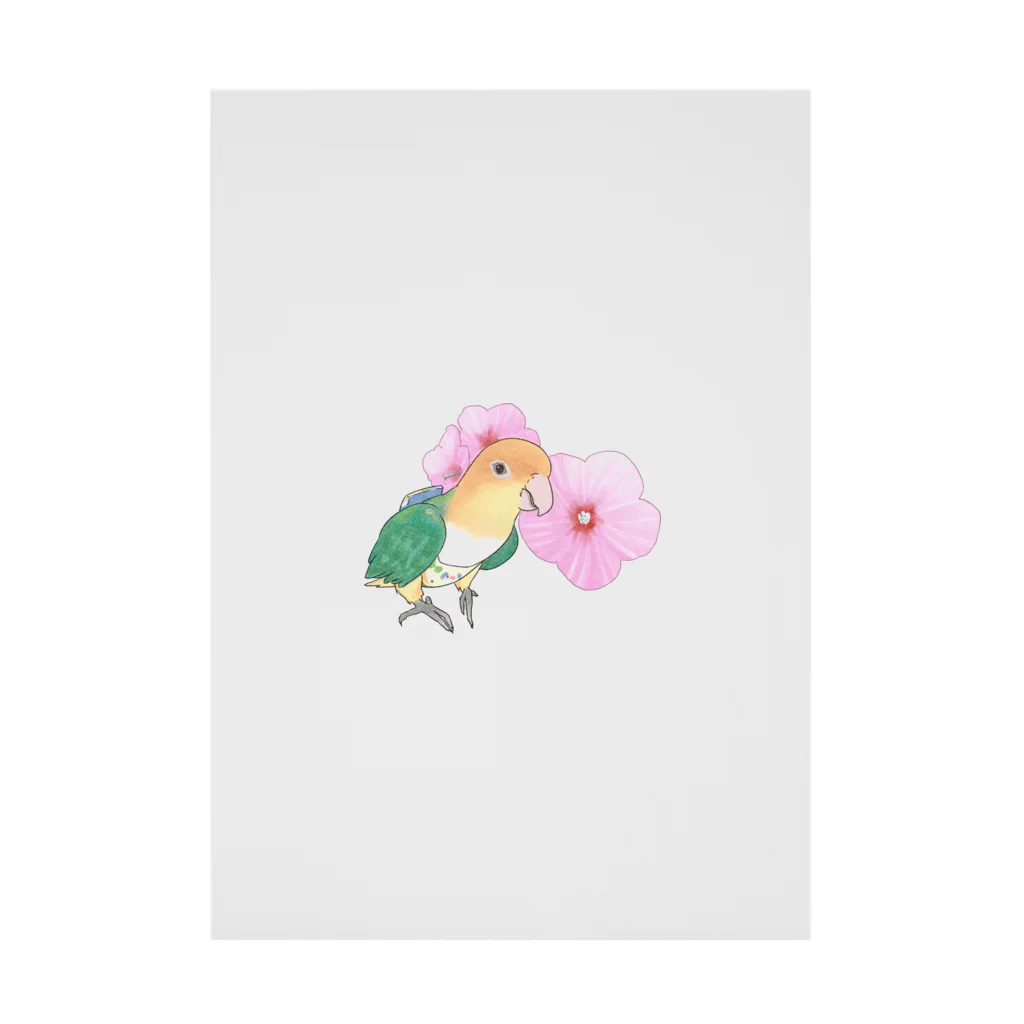 まめるりはことりのお花とシロハラインコちゃん【まめるりはことり】 Stickable Poster