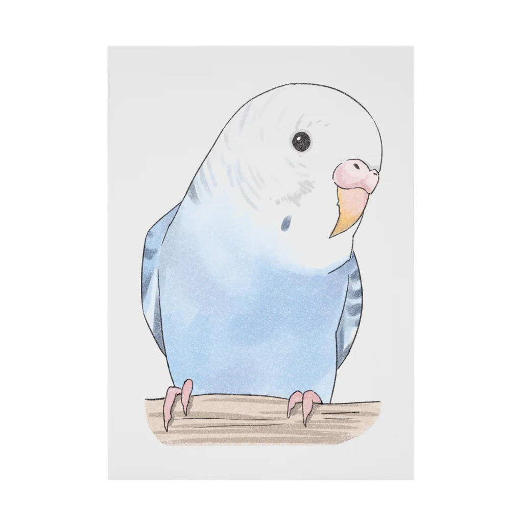 まめるりはことりのおしゃまな止まり木セキセイインコちゃん【まめるりはことり】 Stickable Poster