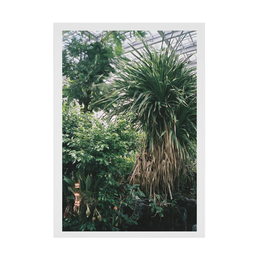 19時 57分の植物の写真 Stickable Poster