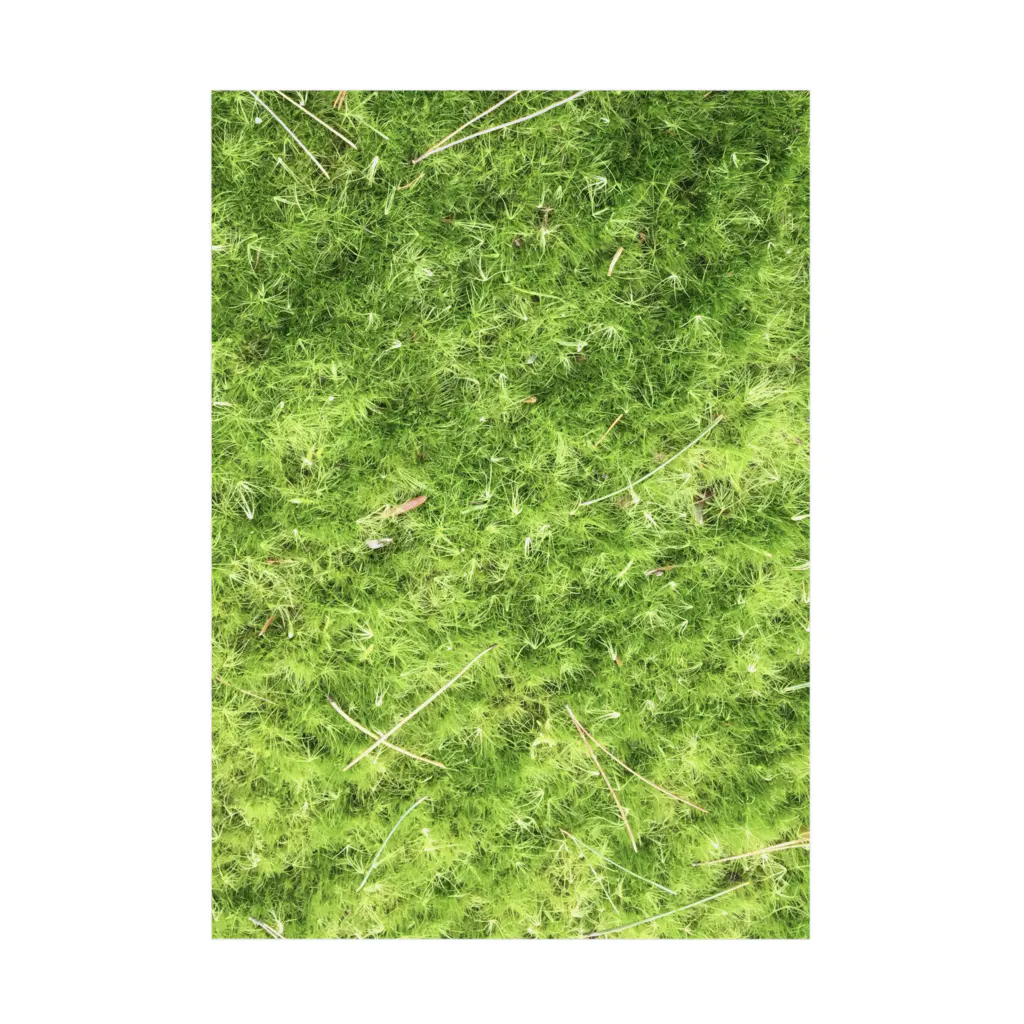 だっくの癒し苔🌿 Stickable Poster