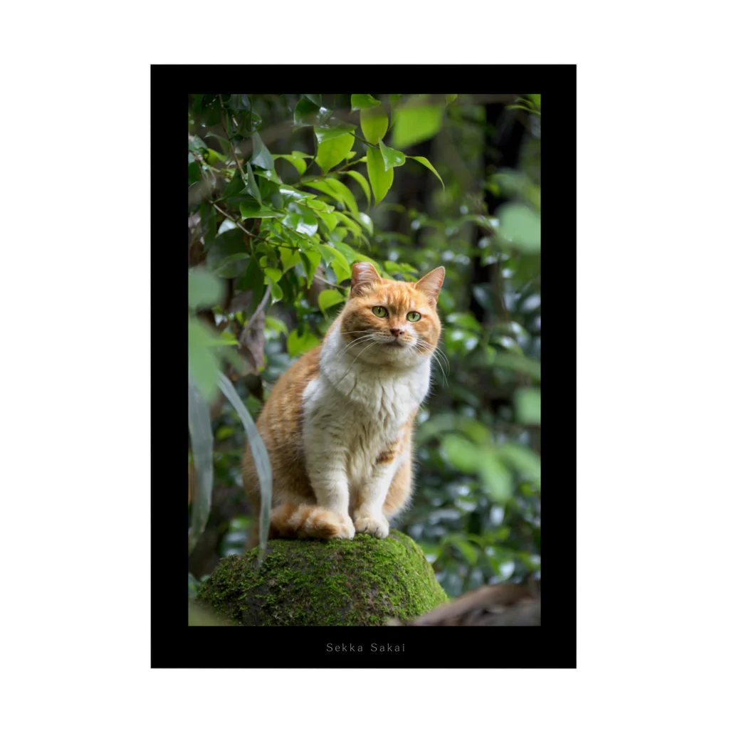 ＊Atelier Sumaco＊の【 森ねこ/サスケ 】 耐水ポスター B / A2～A4 Stickable Poster