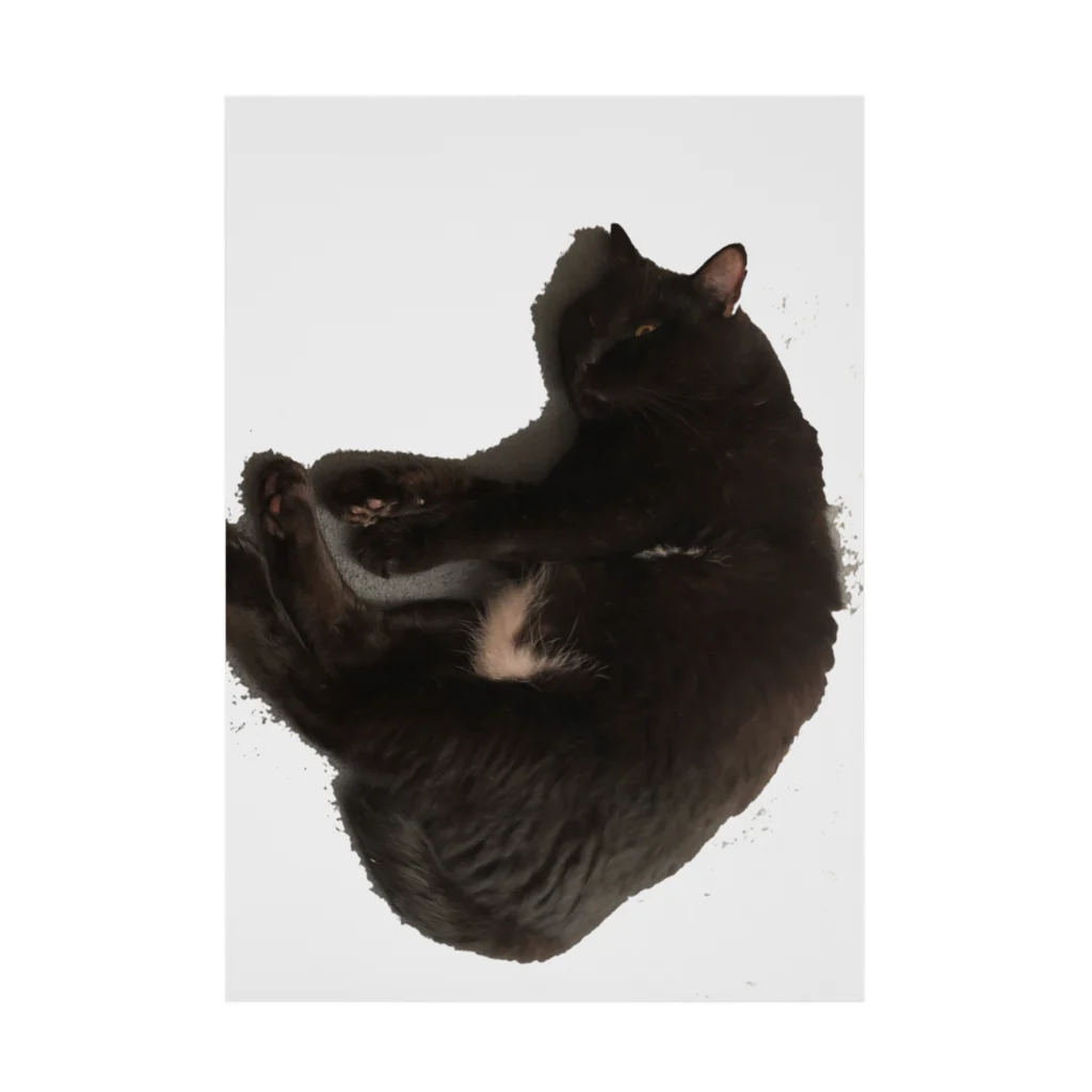 〇〇黒猫。の寝たふり黒猫 吸着ポスター