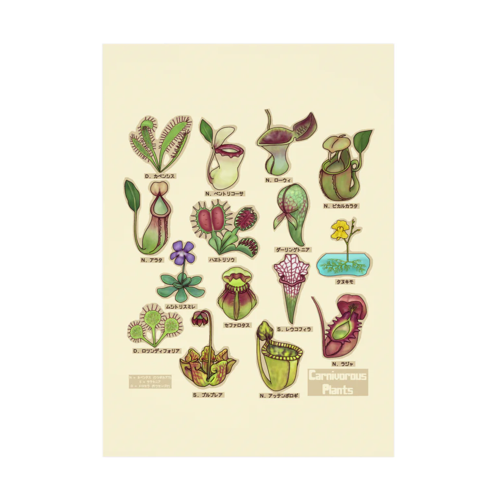 すとろべりーガムFactoryの食虫植物図鑑 (背景カラー) Stickable Poster