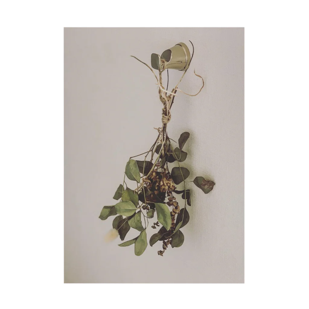 a.c.a.botanicalのdried  plant  Stickable Poster