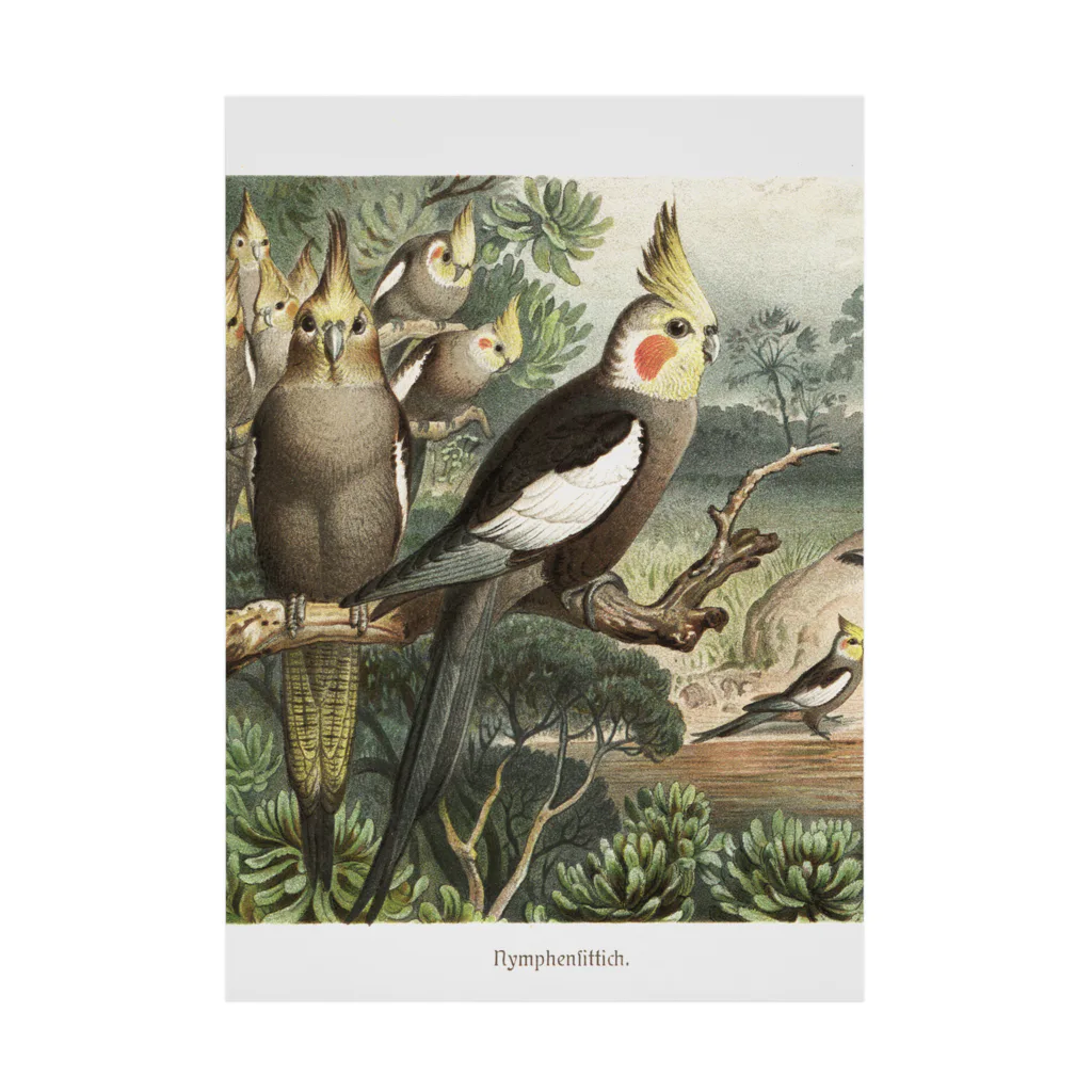 J. Jeffery Print Galleryのオカメインコ Stickable Poster