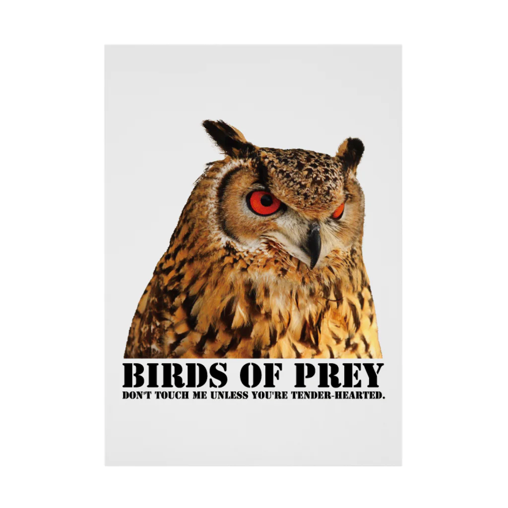 有限会社サイエンスファクトリーのBIRDS OF PREY ベンガルワシミミズク 吸着ポスター