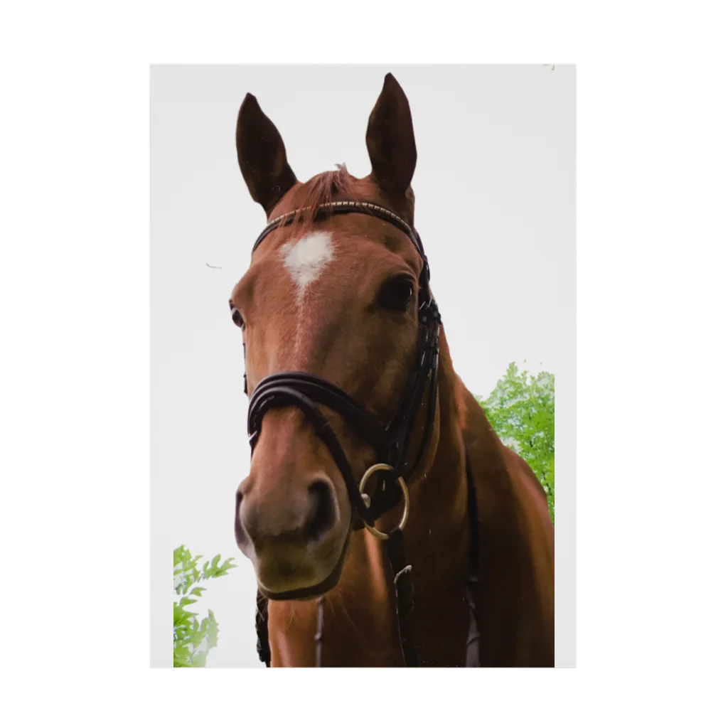 Teatime ティータイムの牧場 乗馬 馬術の馬 Stickable Poster