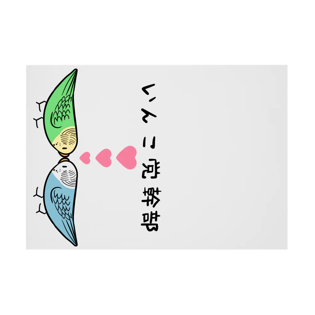 まめるりはことりのセキセイインコいんこ党幹部のーまる【まめるりはことり】 吸着ポスターの横向き