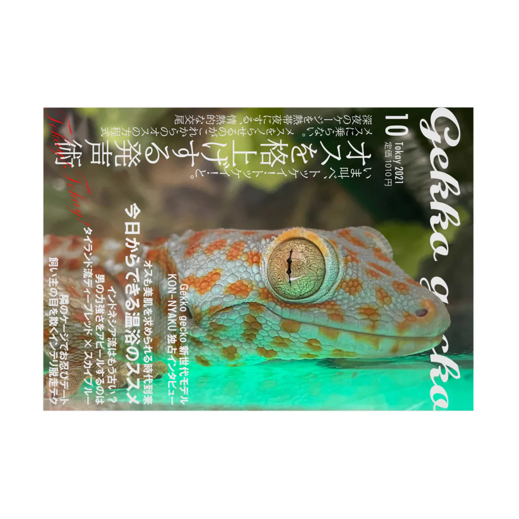 ぴよたろの出店の月刊Gekko Gecko Stickable Poster :horizontal position