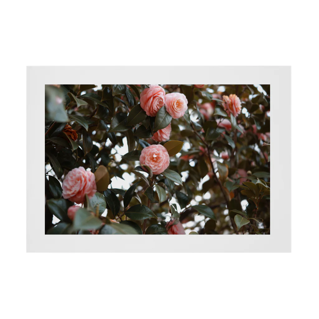 guu.の花の縁 Stickable Poster :horizontal position