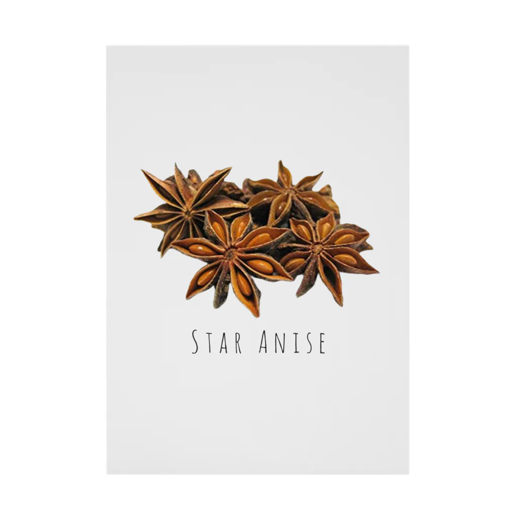 テイク コーポレーションのSTAR ANISE Stickable Poster