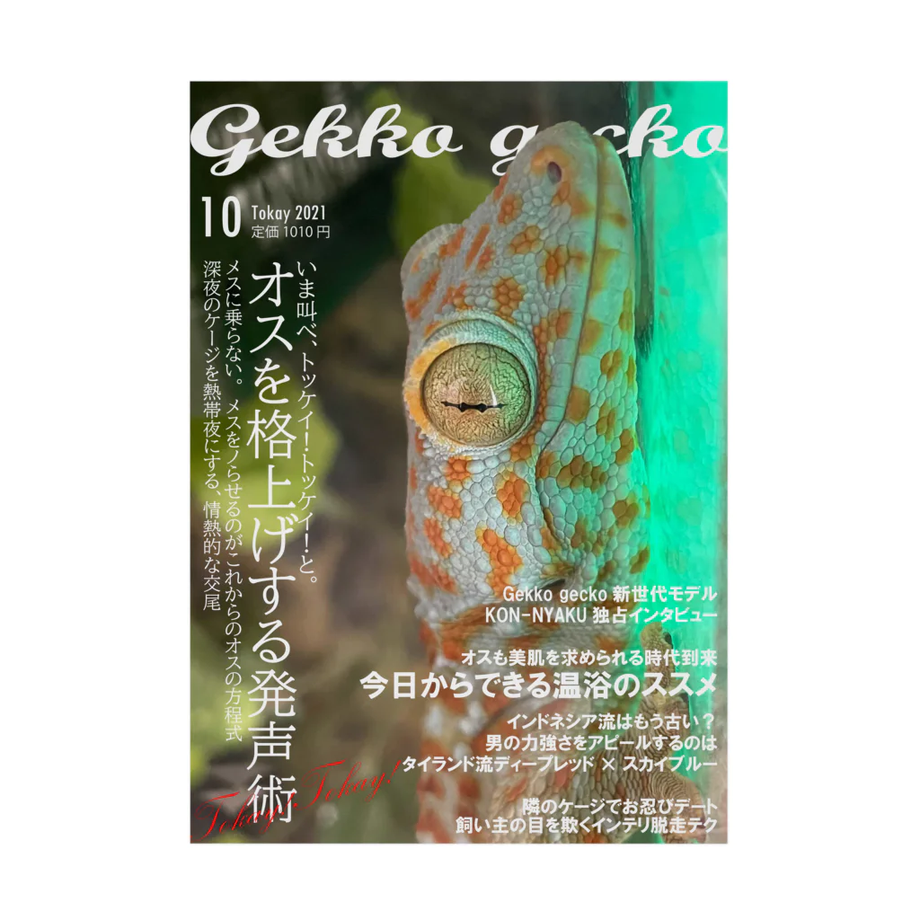 ぴよたろの出店の月刊Gekko Gecko 吸着ポスター