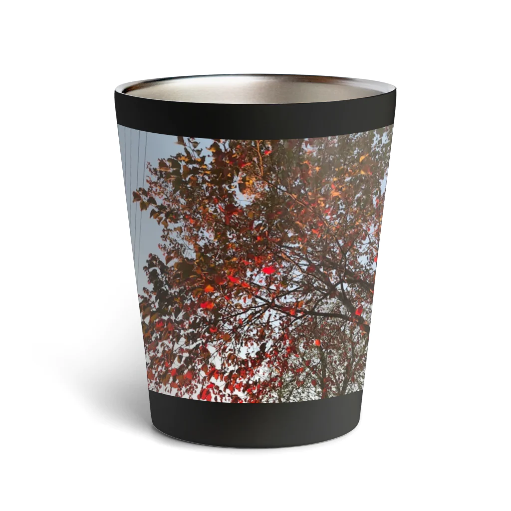 空屋　sorayakusakaの201910181619002　桜の紅葉 Thermo Tumbler