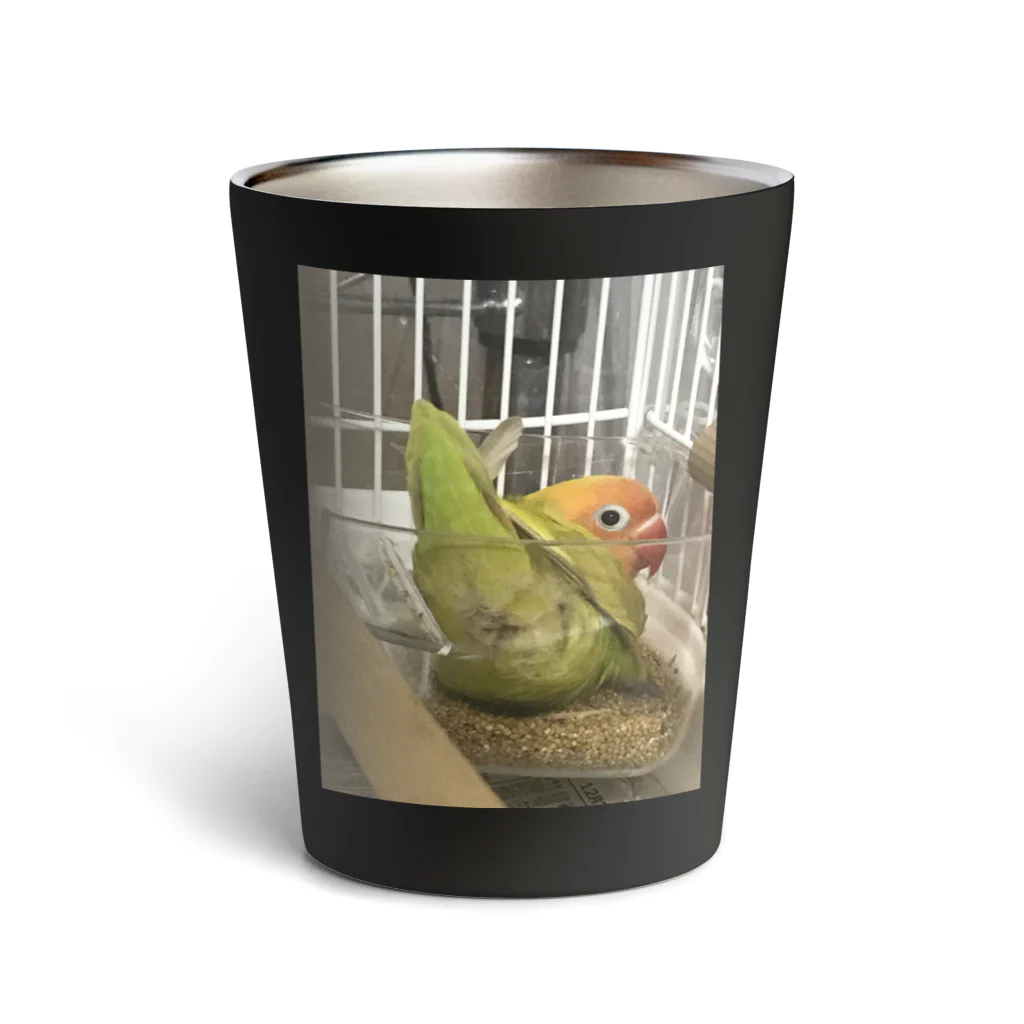 黄色クチバシピヨピヨクラブのボタンインコのポルカ Thermo Tumbler